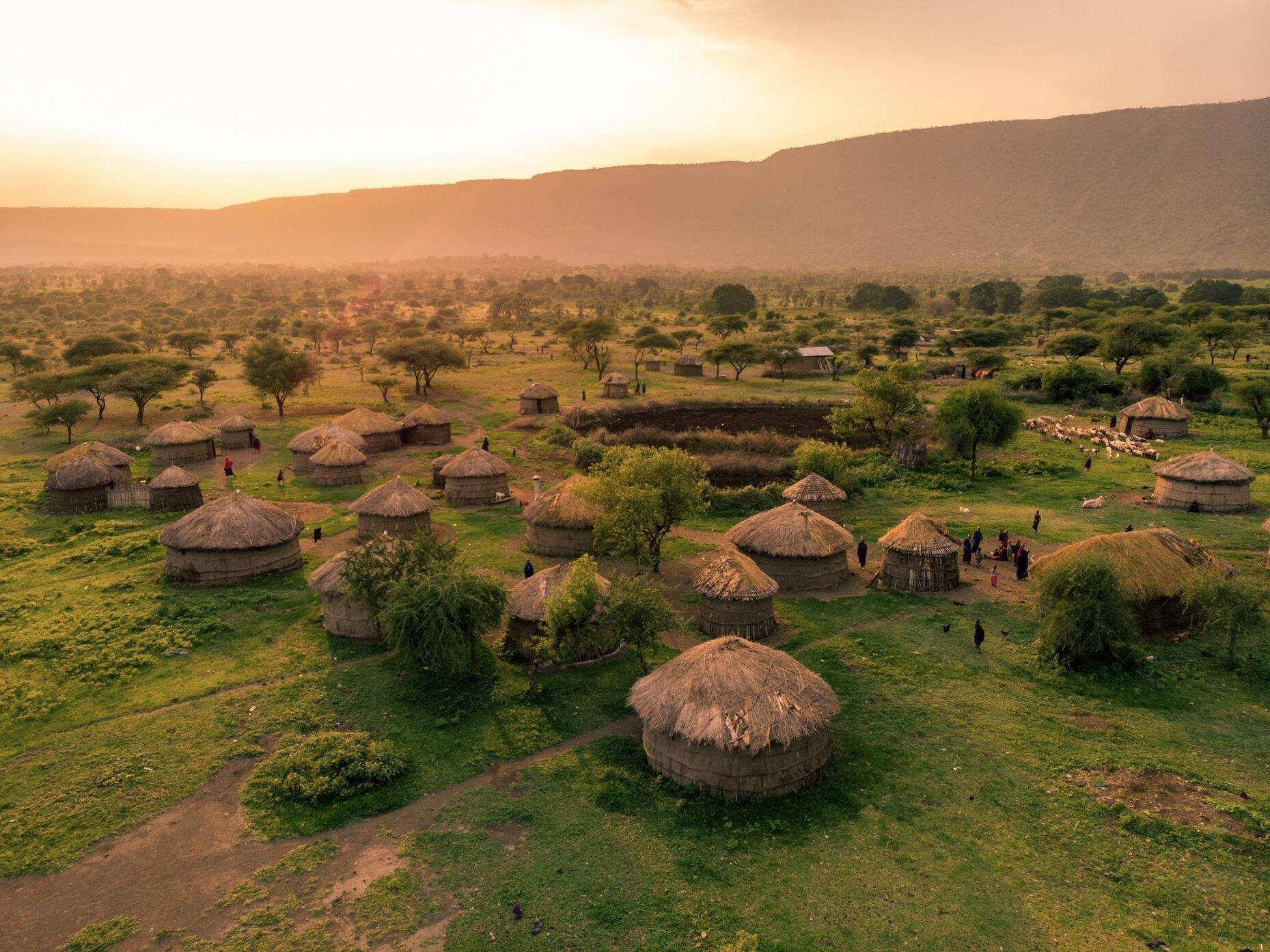Tanzanie